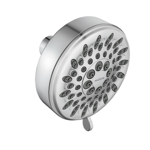 Ignite Five-Function 3 3/4 Diameter Spray Head Wallmount