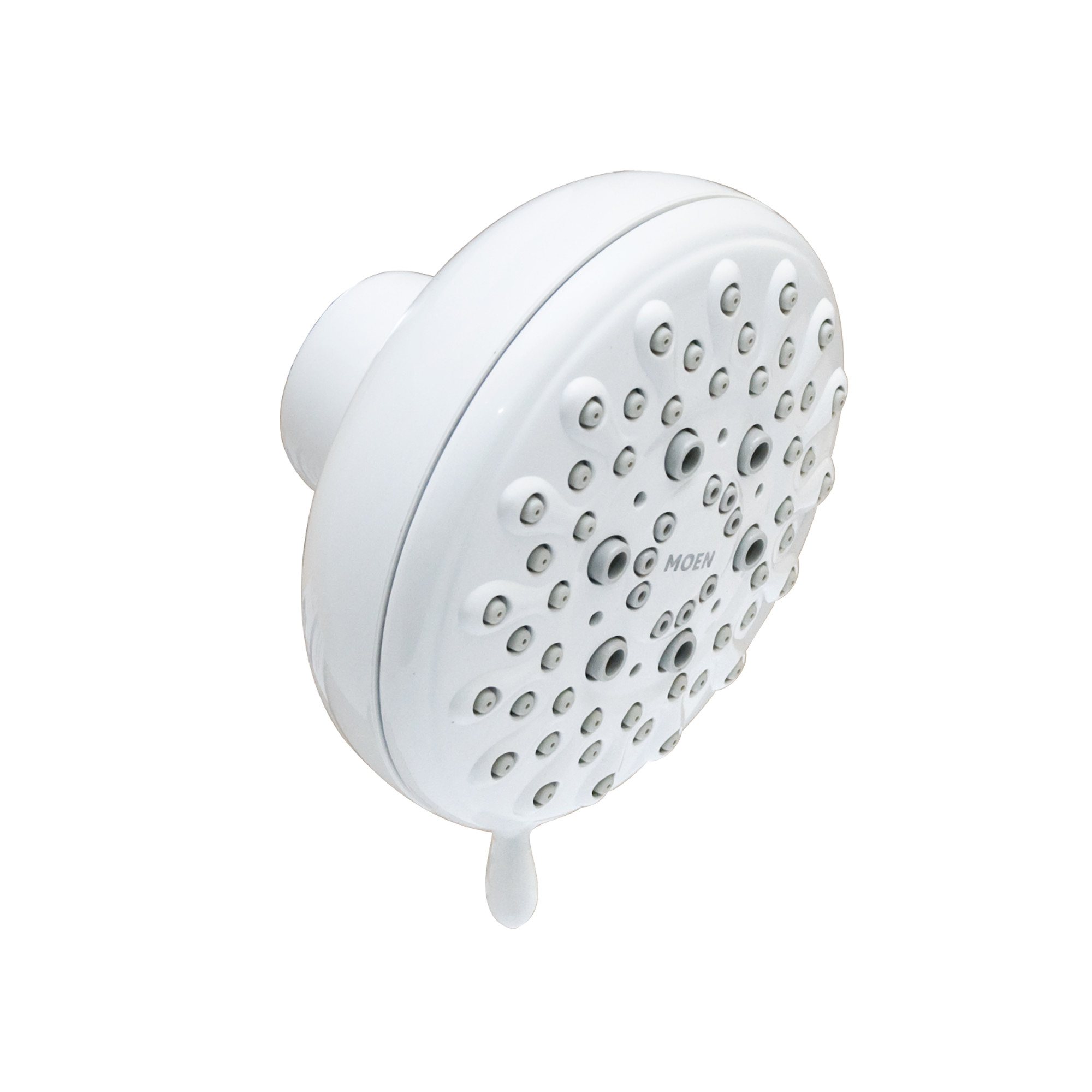 Banbury Five-Function 4 Showerhead