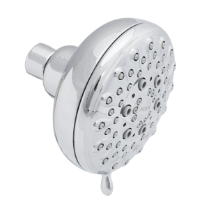 Banbury Five-Function 4 Diameter Spray Head Wallmount