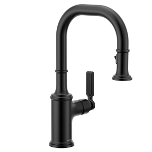 Smyth One-Handle High Arc Pulldown Bar Faucet